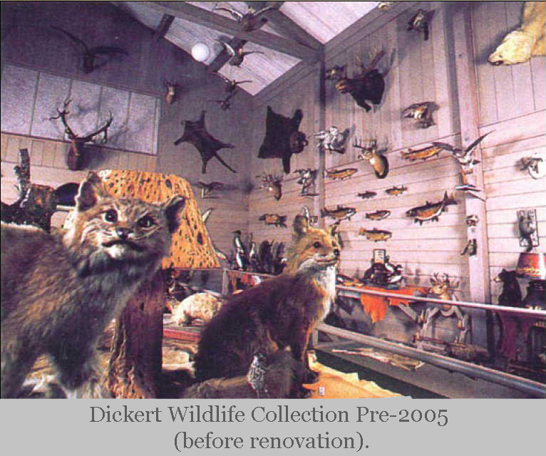 Charles Dickert Collection - pre-2005.
