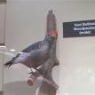 Charles Dickert Collection