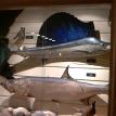 Charles Dickert Collection